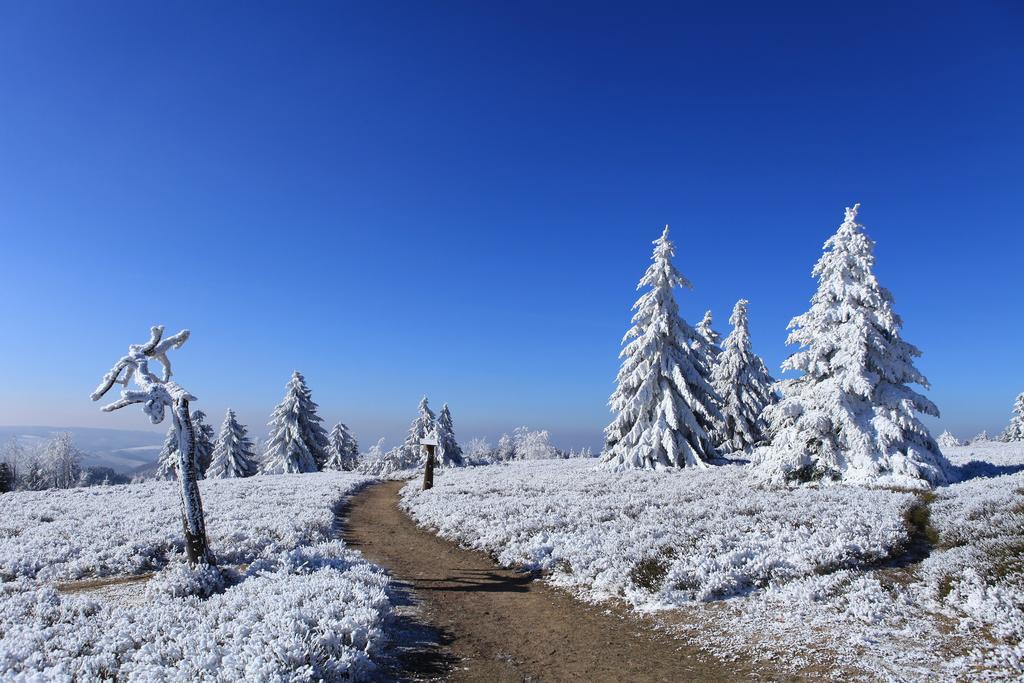 Hapimag Ferienwohnungen Winterberg Ngoại thất bức ảnh